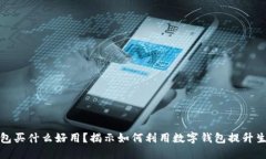 数字钱包买什么好用？揭示如何利用数