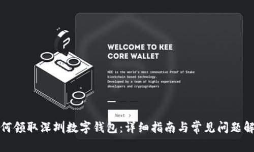 如何领取深圳数字钱包:详细指南与常见问题解答