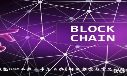 TP钱包BSC不显示币怎么办?解决方案与常见问题解析