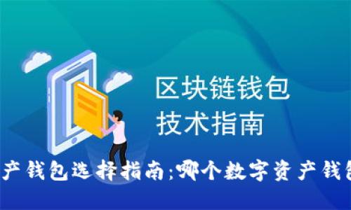数字资产钱包选择指南：哪个数字资产钱包最好？