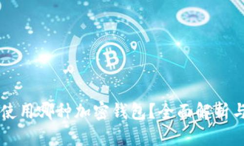 韩国使用哪种加密钱包？全面解析与推荐