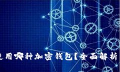 韩国使用哪种加密钱包？全面解析与推