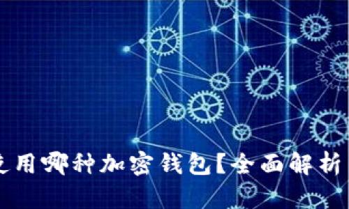 韩国使用哪种加密钱包？全面解析与推荐