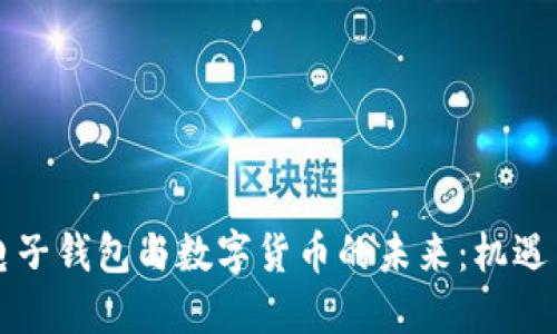 南京电子钱包与数字货币的未来：机遇与挑战