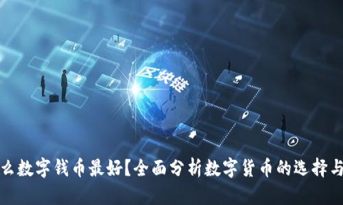 钱包放什么数字钱币最好？全面分析数字货币的选择与投资策略