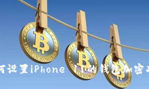 如何设置iPhone 11的钱包加密功能