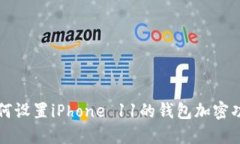 如何设置iPhone 11的钱包加密功能