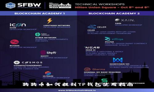 狗狗币如何提到TP钱包使用指南