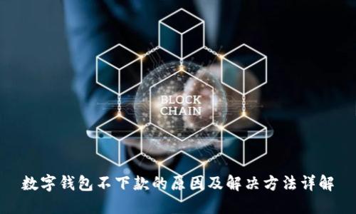 数字钱包不下款的原因及解决方法详解