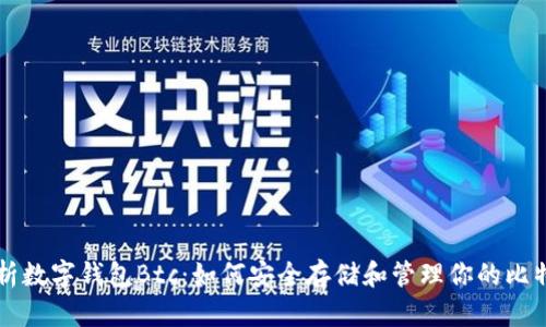 深入解析数字钱包Btc：如何安全存储和管理你的比特币资产