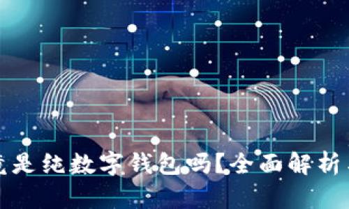 TP钱包究竟是纯数字钱包吗?全面解析与使用指南