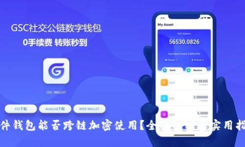 硬件钱包能否跨链加密使用?全面解析与实用指南