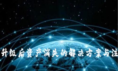 TP钱包升级后资产消失的解决方案与注意事项