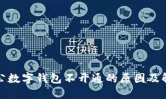 建行对公数字钱包不开通的原因及解决