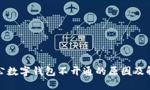 建行对公数字钱包不开通的原因及解决方案