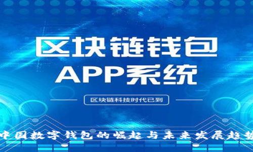 中国数字钱包的崛起与未来发展趋势