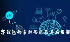 数字钱包的多种形态及其应用解析