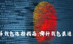 数字币钱包选择指南：哪种钱包最适合