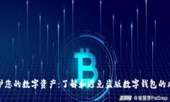 保护您的数字资产：了解和避免盗版数