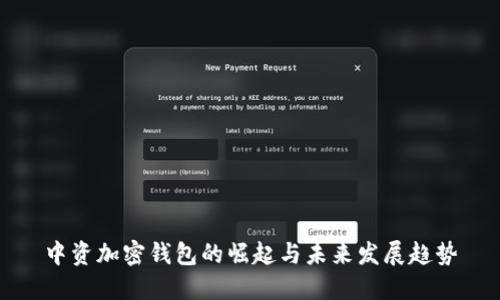 中资加密钱包的崛起与未来发展趋势