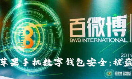 如何保护你的苹果手机数字钱包安全：被盗后的应对措施