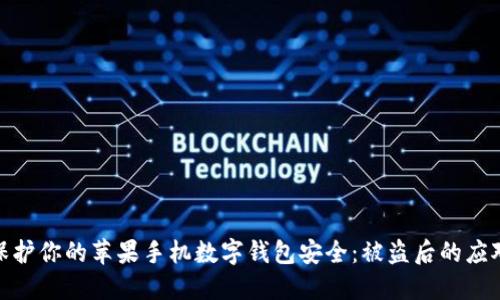 如何保护你的苹果手机数字钱包安全：被盗后的应对措施