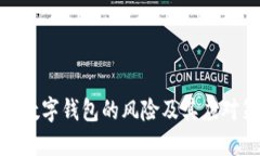 对公数字钱包的风险及其应对策略