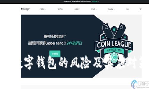 对公数字钱包的风险及其应对策略