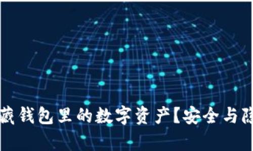 如何有效隐藏钱包里的数字资产?安全与隐私保护指南