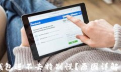 为什么TP钱包进不去特别慢？原因详解