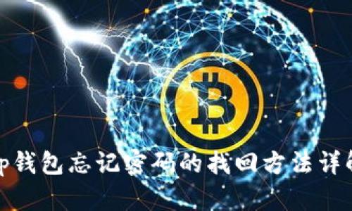 tp钱包忘记密码的找回方法详解
