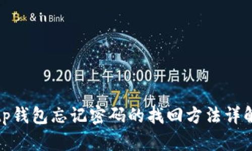 tp钱包忘记密码的找回方法详解