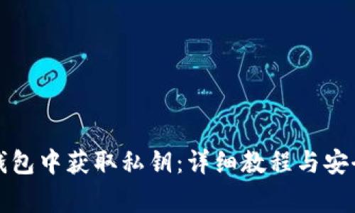 如何在TP钱包中获取私钥：详细教程与安全注意事项