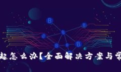 数字钱包挂起怎么办？全面解决方案与