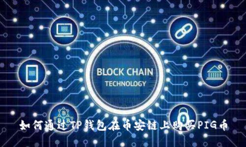 如何通过TP钱包在币安链上购买PIG币