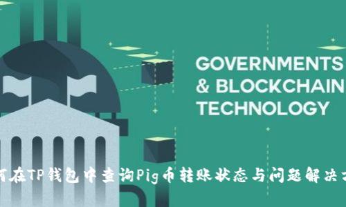 如何在TP钱包中查询Pig币转账状态与问题解决方案
