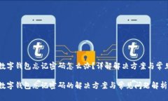 中行数字钱包忘记密码怎么办？详解解