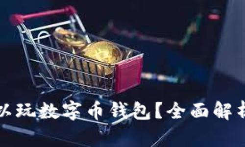 哪里可以玩数字币钱包？全面解析与推荐