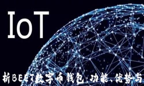 全面解析BEET数字币钱包:功能、优势与安全性