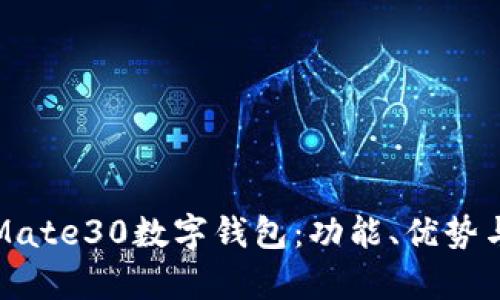 全面解析Mate30数字钱包:功能、优势与使用技巧