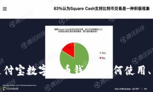 全面解析国际支付宝数字货币钱包:如何使用、优势及未来发展