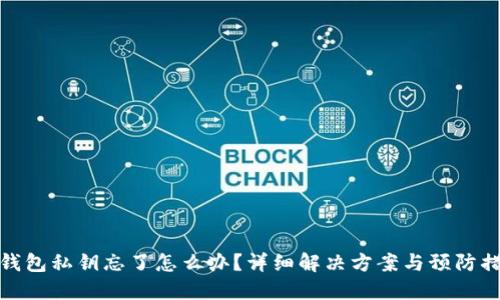 TP钱包私钥忘了怎么办？详细解决方案与预防措施
