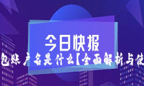 数字钱包账户名是什么?全面解析与使用指南