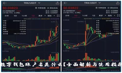 数字钱包账户名是什么?全面解析与使用指南