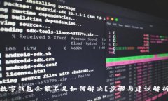 数字钱包余额不足如何解决？步骤与建