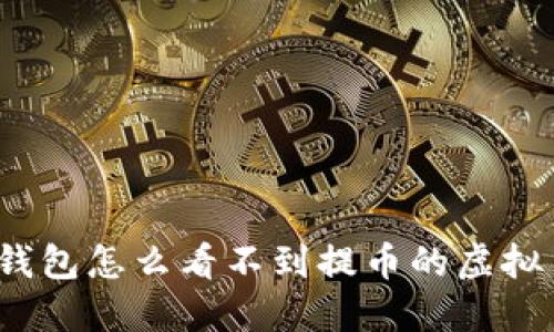TP钱包怎么看不到提币的虚拟币?