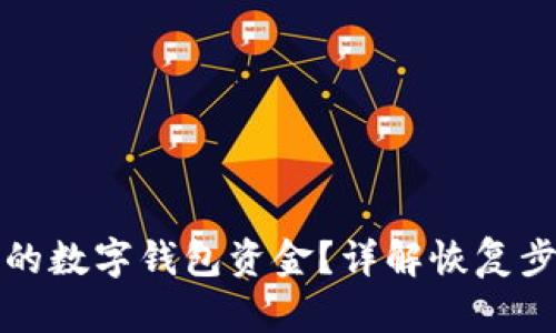 如何追回丢失的数字钱包资金？详解恢复步骤与案例分析