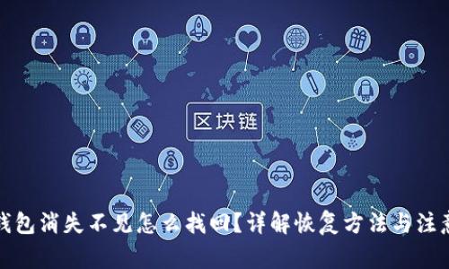 数字钱包消失不见怎么找回?详解恢复方法与注意事项