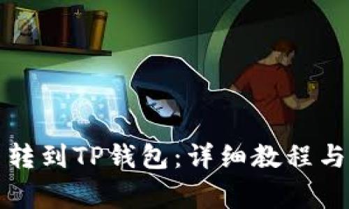 怎么把其他币转到TP钱包：详细教程与常见问题解答