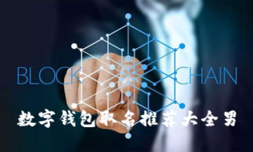 数字钱包取名推荐大全男